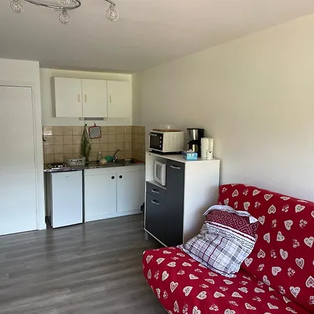 Appartement La Graviere à Laveissière Extérieur photo