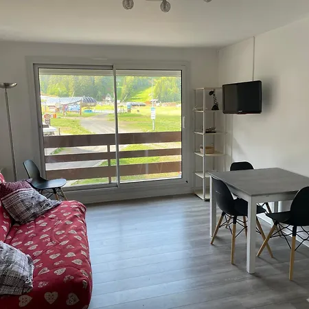 Appartement La Graviere à Laveissière Extérieur photo